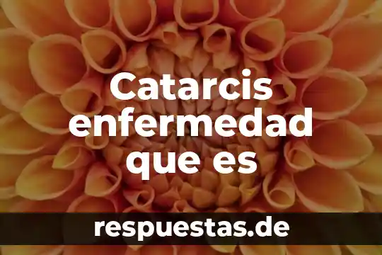 Qué es enfermedad según Florence Nightingale 5 Catarcis enfermedad que es