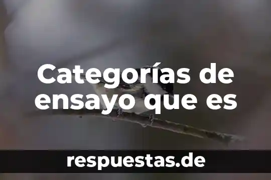 Categorías de ensayo que es