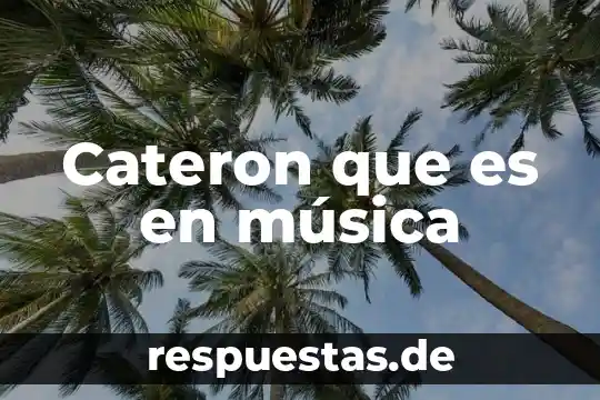 Qué es una pista en música 5 Cateron que es en música