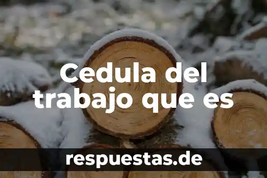 Que es cedula de identidad en mexico como tramitarla 6 Cedula del trabajo que es