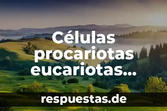 Células procariotas eucariotas bacilos qué es