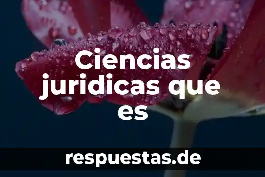 Que es multiculturalidad en ciencias de la comunicacion 3 Ciencias juridicas que es