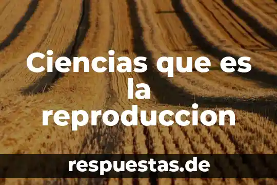 Qué es el área funcional de reproducción 6 Ciencias que es la reproduccion