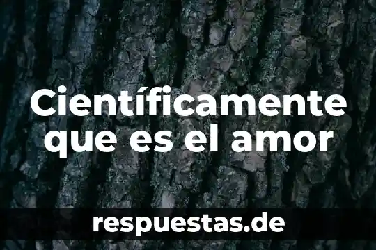Que es la doctrina segun el derecho 5 Científicamente que es el amor