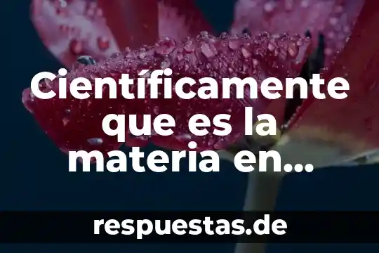 Que es una postura cientificamente 4 Científicamente que es la materia en ingeniería