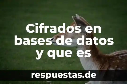 Qué es bases físicas de la herencia 5 Cifrados en bases de datos y que es