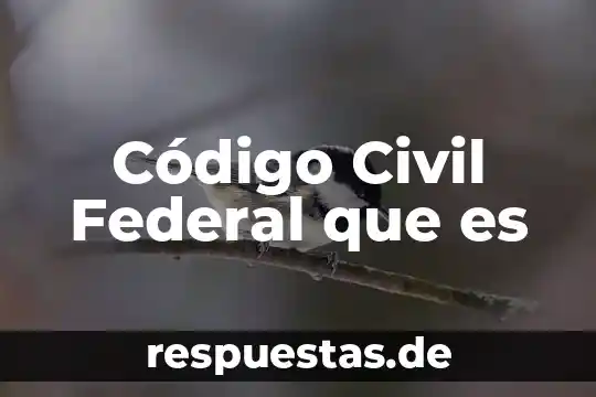 Qué es un código de ética de juego limpio 7 Código Civil Federal que es