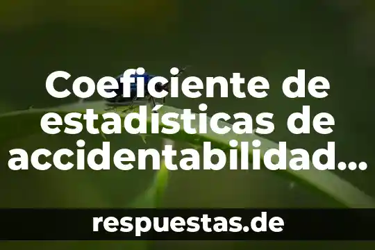 Que es un indice en las estadisticas 8 Coeficiente de estadísticas de accidentabilidad del IMSS que es