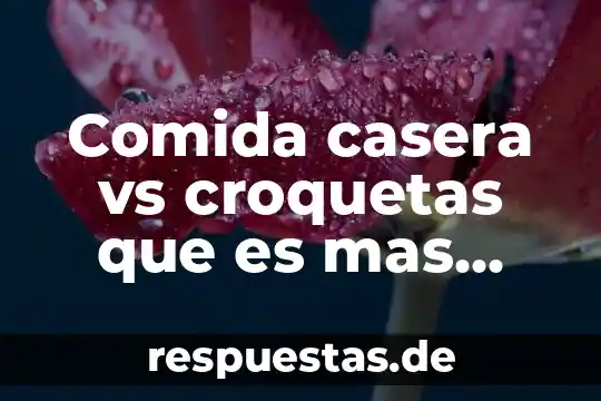 Qué es más barato en España tren o autobús 4 Comida casera vs croquetas que es mas barato