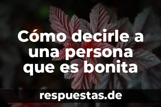 Como decirle a instagram que es un dibujo 8 Cómo decirle a una persona que es bonita