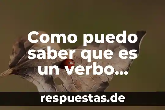 Como puedo saber que es un verbo copreterito