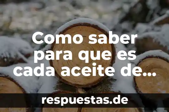 Escudo del centro escolar aparicio que es cada parte 8 Como saber para que es cada aceite de young living