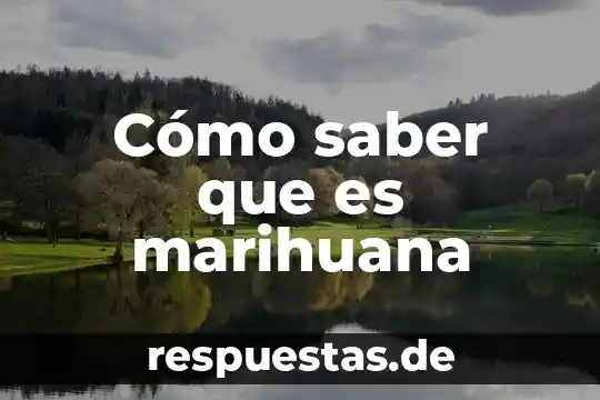 Para que es importante saber historia del maíz 4 Cómo saber que es marihuana