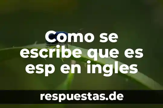 Que es track en ingles 7 Como se escribe que es esp en ingles