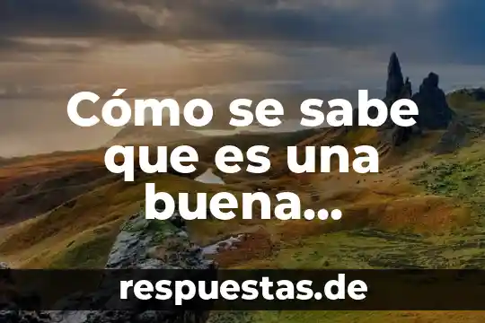 Que es la buena presentacion personal 5 Cómo se sabe que es una buena pregunta de investigación