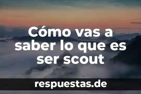 Que es la referencia cuando vas a hacer transferencia 3 Cómo vas a saber lo que es ser scout