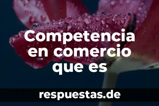 Que es el comercio juridico 3 Competencia en comercio que es