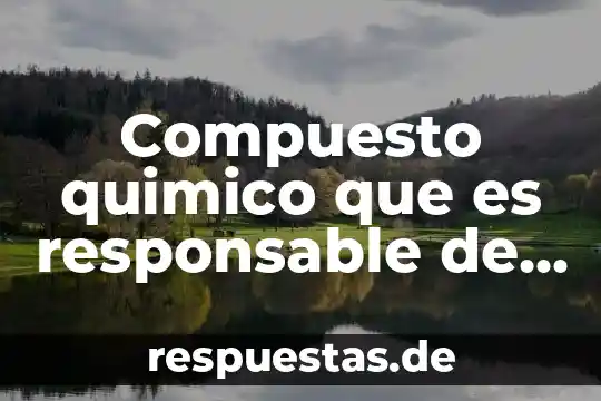 Empresa que es socialmente responsable 6 Compuesto quimico que es responsable de la contraccion muscular