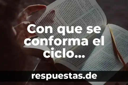Que es el ciclo del carbono definición 3 Con que se conforma el ciclo economico y que es