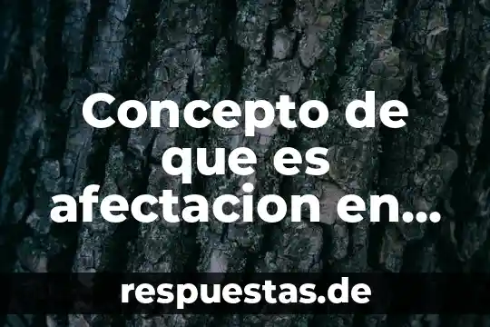 Que es concepto linguistico 5 Concepto de que es afectacion en la escuela