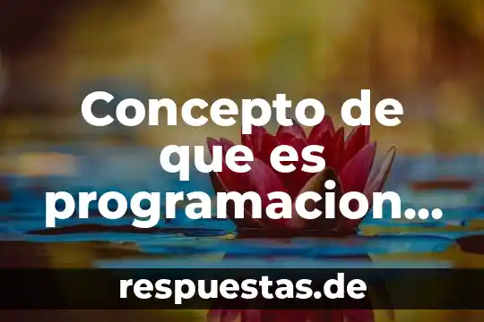 Concepto de que es programacion visua
