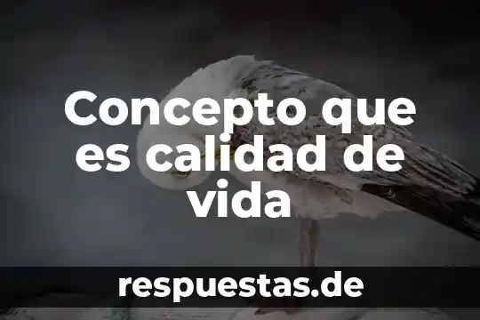 Sistema de gestión de calidad bqs que es 8 Concepto que es calidad de vida
