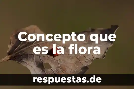 Qué es la administración en las sociedades mercantiles concepto 8 Concepto que es la flora