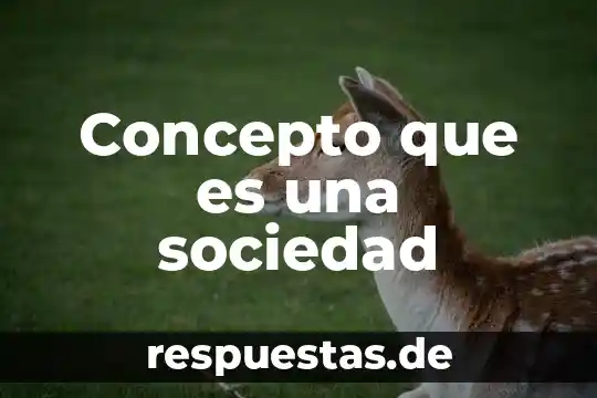 Qué es satisfacción concepto 4 Concepto que es una sociedad