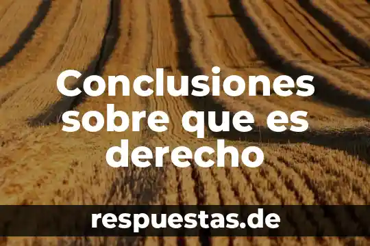 Qué es la filosofía del derecho concepto 5 Conclusiones sobre que es derecho