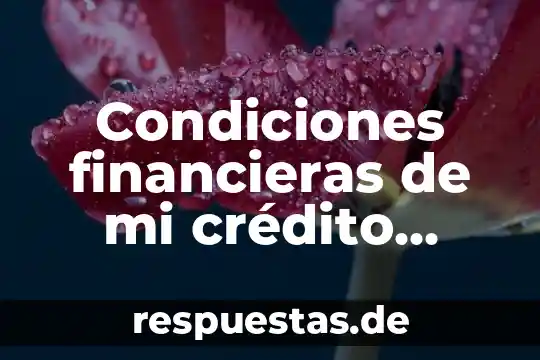 Condiciones financieras de credito infonavit que es 5 Condiciones financieras de mi crédito INFONAVIT que es