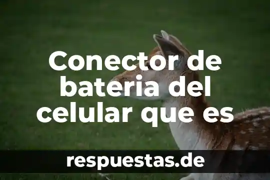 Para que es el conector will en ingles 3 Conector de bateria del celular que es