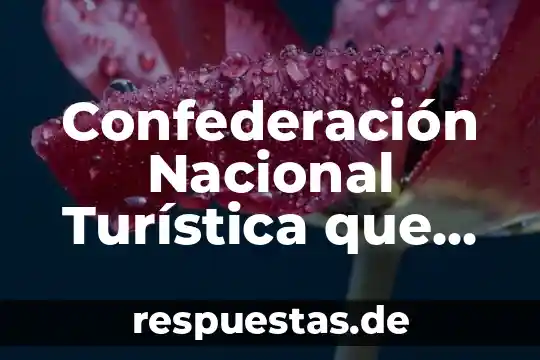 Qué es una olimpiada nacional 4 Confederación Nacional Turística que es