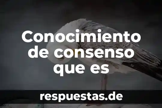 Que es consenso y ejemplos 3 Conocimiento de consenso que es