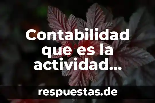 Que es el ente publico en la contabilidad gubernamental 8 Contabilidad que es la actividad empresarial