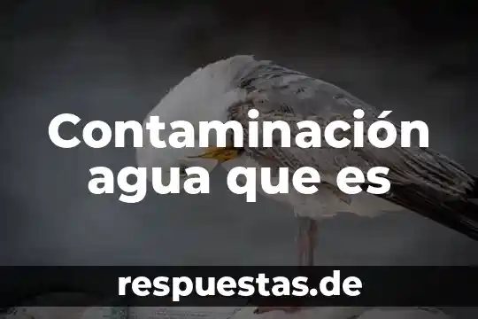 Que es el agua animación 3 Contaminación agua que es