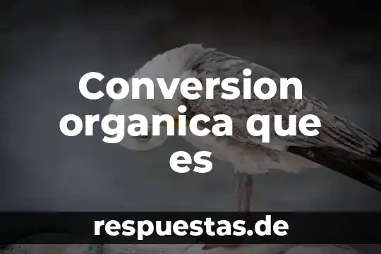 Conversion organica que es