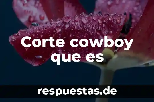 Crónica qué es y características 3 Corte cowboy que es