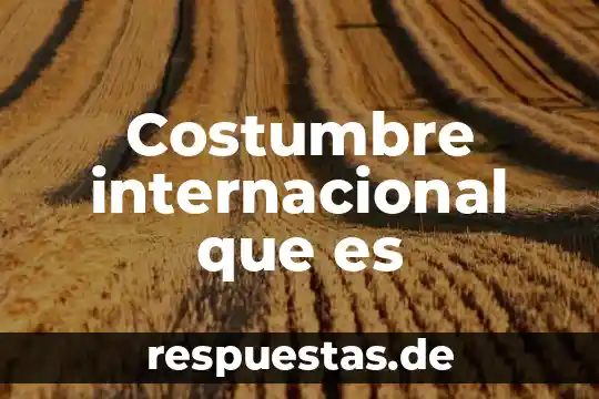 Que es estilo costumbre cultura y tradicion 5 Costumbre internacional que es