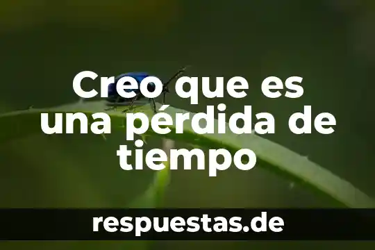 Cuñado sabes que es la nada no creo 6 Creo que es una pérdida de tiempo