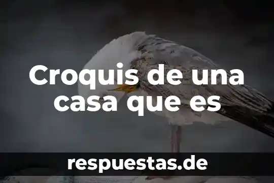 Que es y en que consiste el movimiento acreedor 6 Croquis de una casa que es