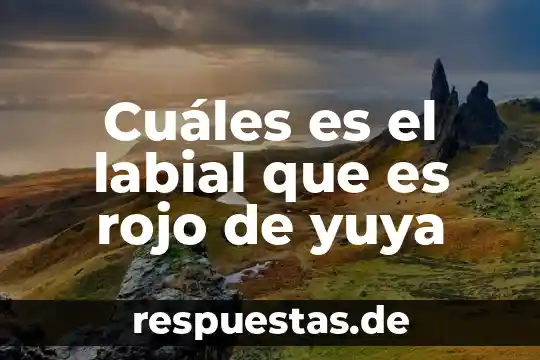 En si que es un paradigma-filosofia 6 Cuáles es el labial que es rojo de yuya