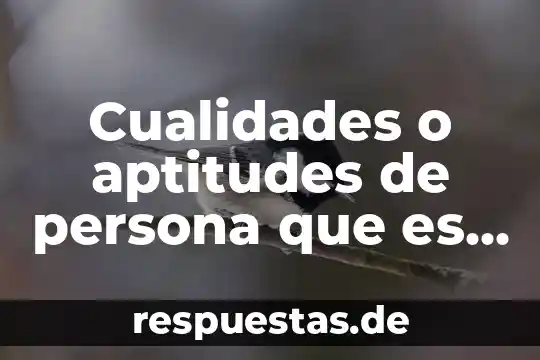 Cualidades o aptitudes de persona que es muy emprendedora