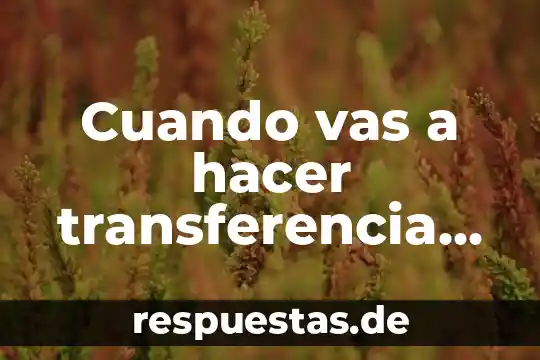 Cómo vas a saber lo que es ser scout 5 Cuando vas a hacer transferencia que es numero de referencia