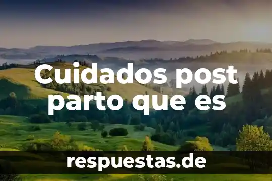 Cuidados post parto que es