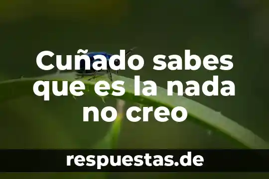 Creo que es el fin del hombre araña 4 Cuñado sabes que es la nada no creo