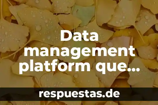Data management platform que es