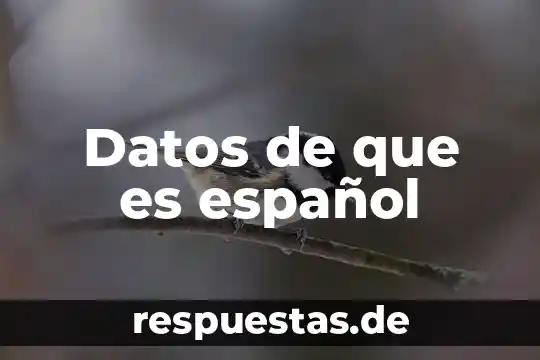 Significado que es moons en español 7 Datos de que es español