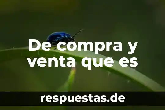 Que es una carta compra venta 5 De compra y venta que es