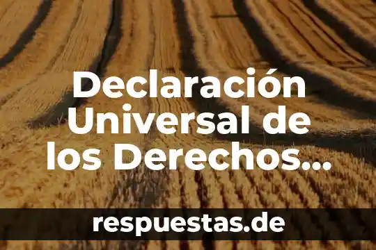 Que es ser ciudadano en democracia 5 Declaración Universal de los Derechos del Hombre Ciudadano que es