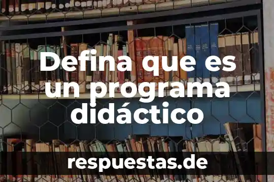 Defina que es un programa didáctico